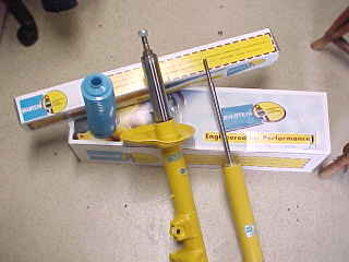 �v���[���g�ʐ^