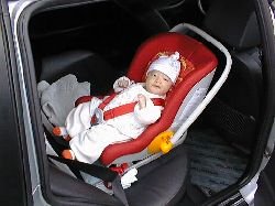 �x�r�[�V�[�g�E�t�H�g�T