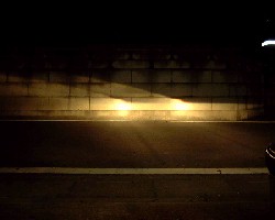 �n���Q��