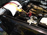 �r���t���q�|�Q�O�O�O�̌����|�[�g