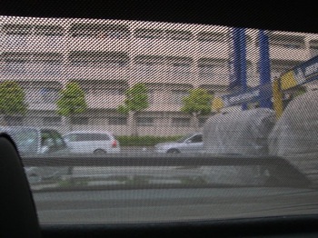 E30-M3 ���A�E���[���[�E�u���C���h�̎ʐ^