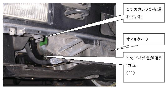 �J�u���I��