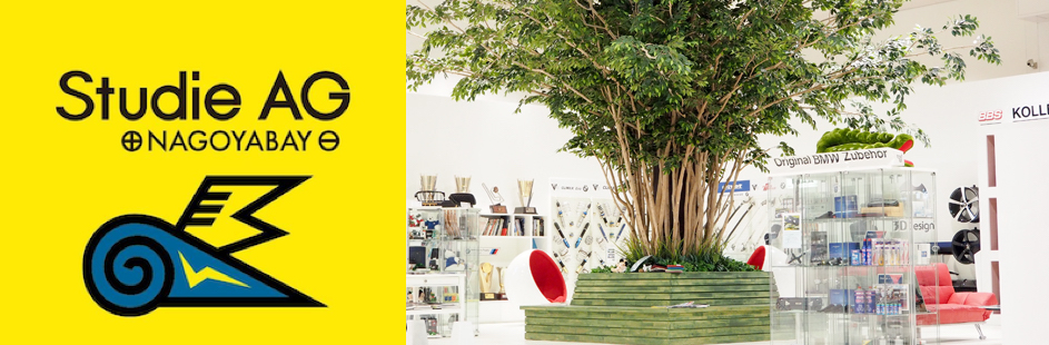 Studie Nagoyabay